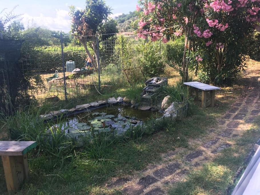 Appartamento Le Rose , Relax In Casolare Del 1700 Sarzana Esterno foto